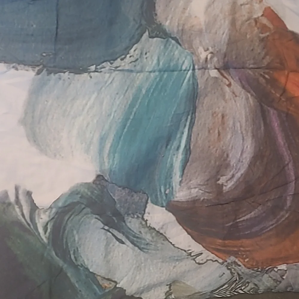 WEST ELM ARTISTS PALETTE BRUSHSTROKE PILLOW SHAM COVERS 1 STANDARD 1 KING
